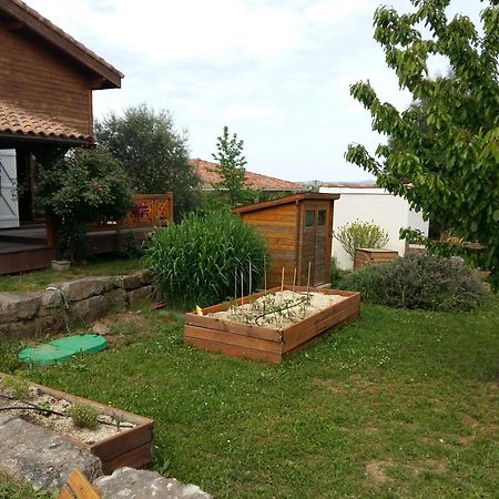 Ecolodge Bellevue 알비 외부 사진
