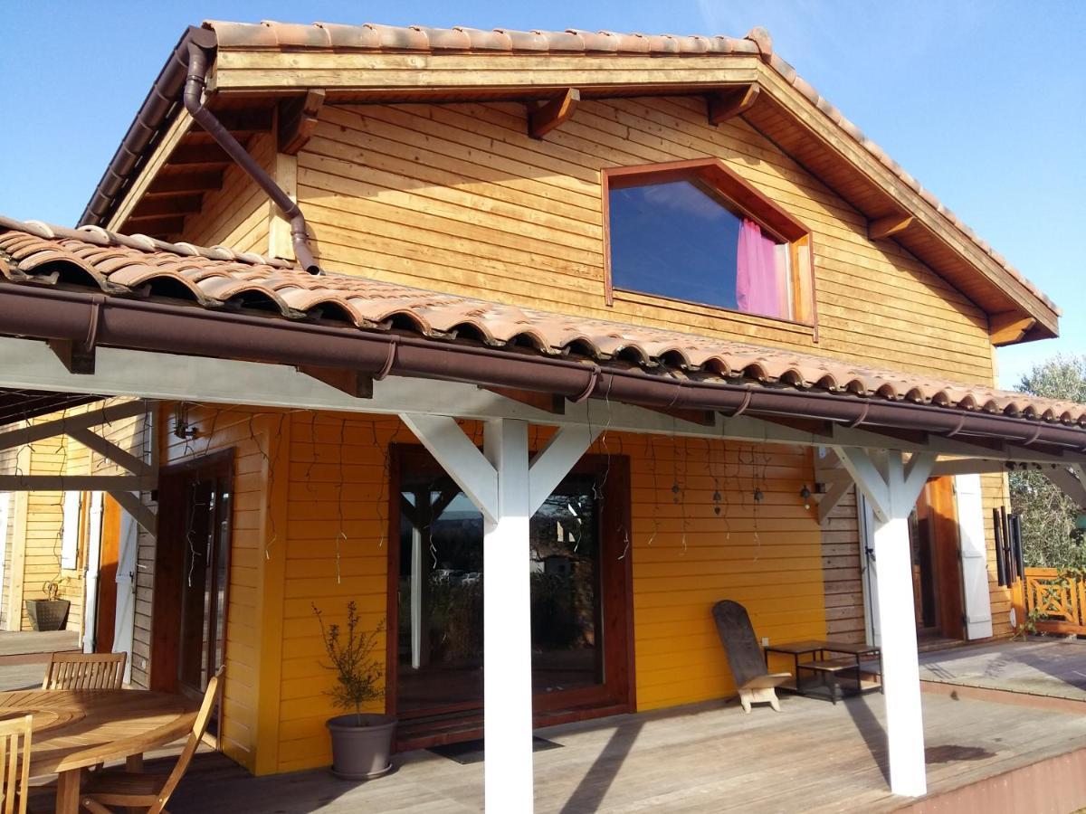 Ecolodge Bellevue 알비 외부 사진