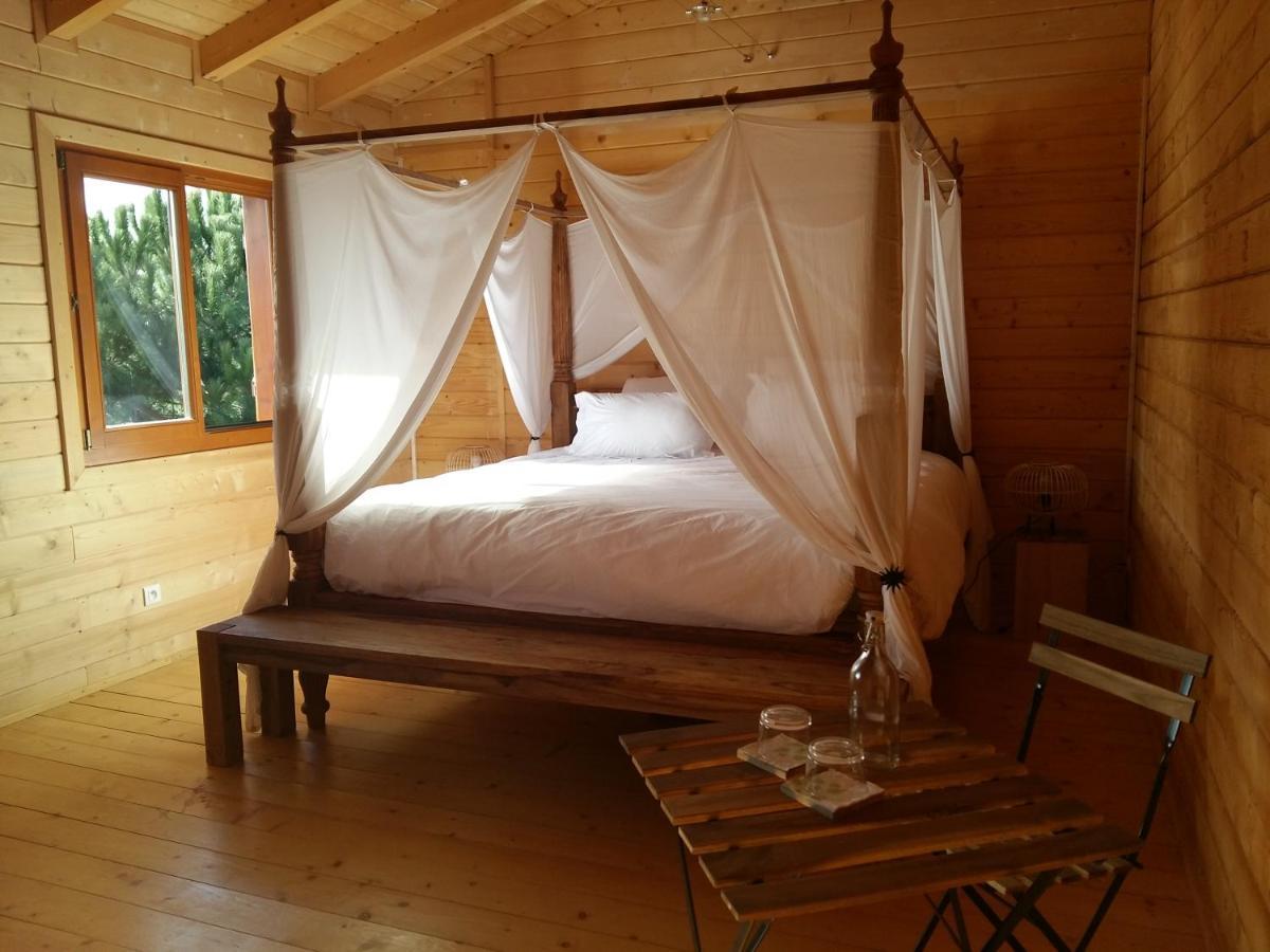 Ecolodge Bellevue 알비 외부 사진