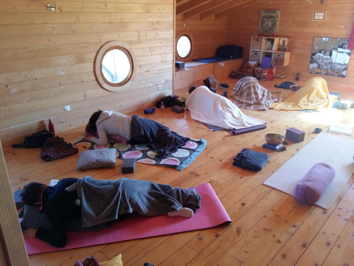 Ecolodge Bellevue 알비 외부 사진
