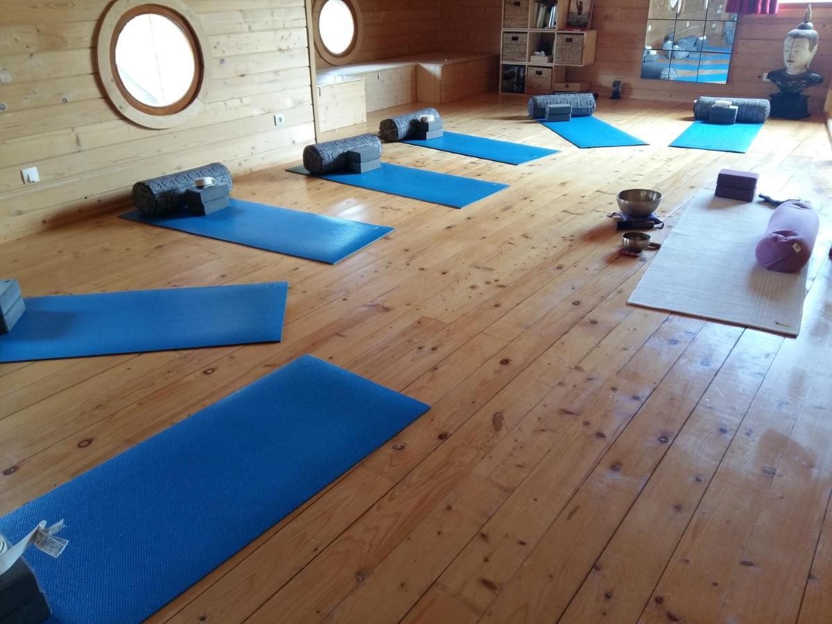 Ecolodge Bellevue 알비 외부 사진