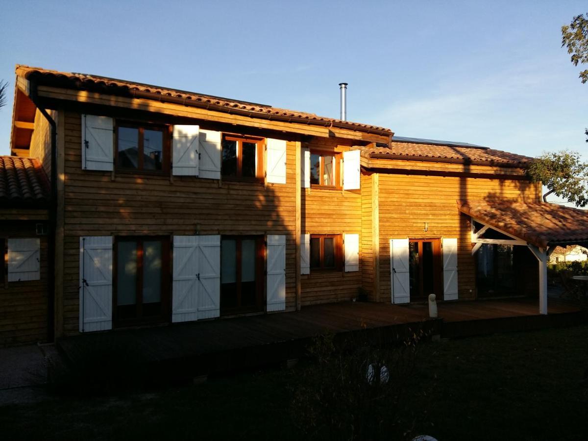 Ecolodge Bellevue 알비 외부 사진