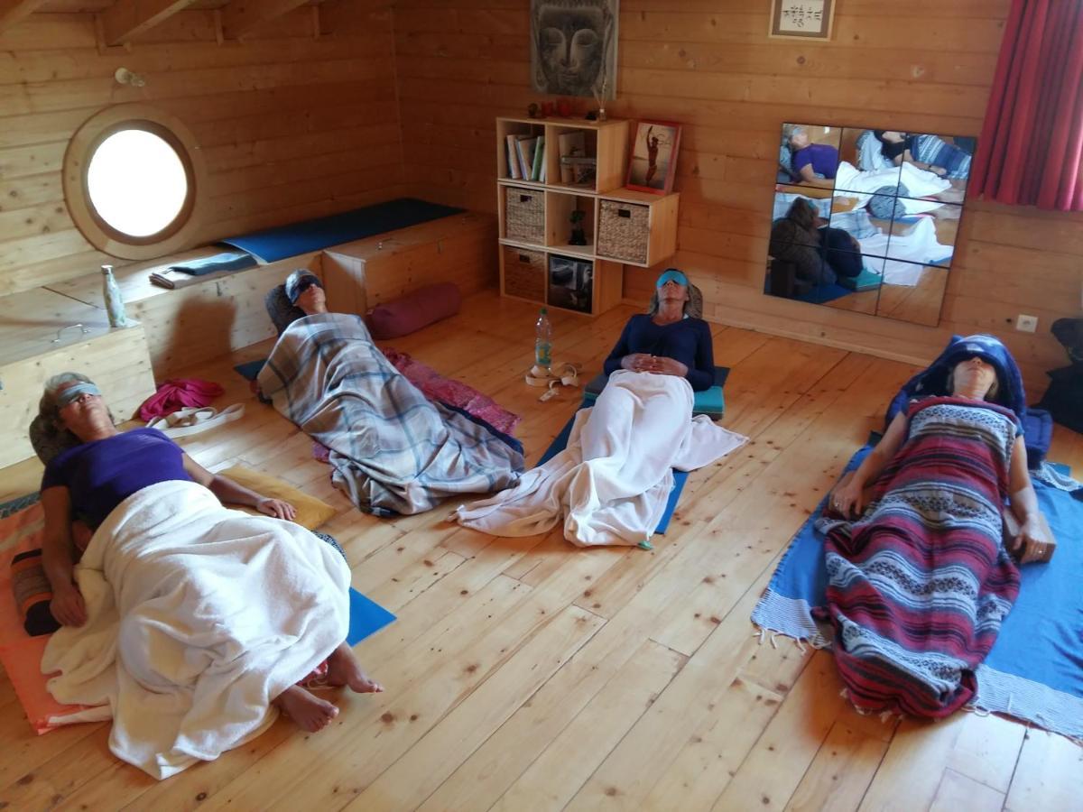 Ecolodge Bellevue 알비 외부 사진