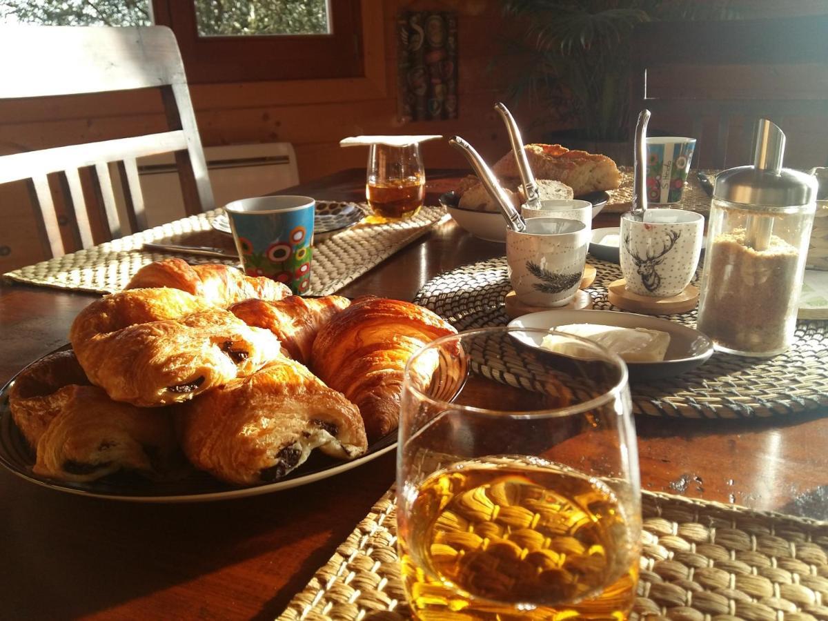 Ecolodge Bellevue 알비 외부 사진